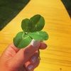 lam_87